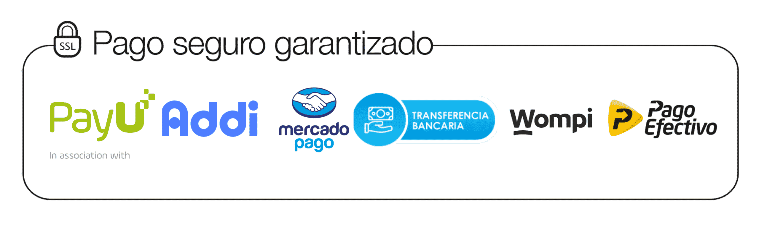 Pago seguro