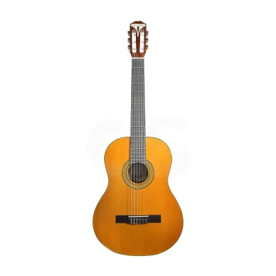 GUITARRA ACUSTICA EPIPHONE EAP2ANCH1 PRO 1 Duosonic Bogota