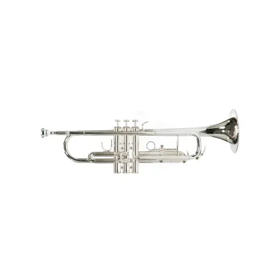 trompeta jinbao jbtr 300n plateada Duosonic Bogota