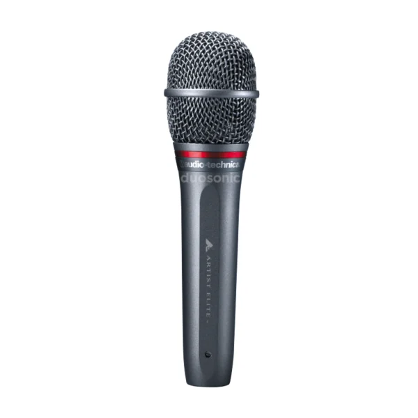 AE4100 Duosonic
