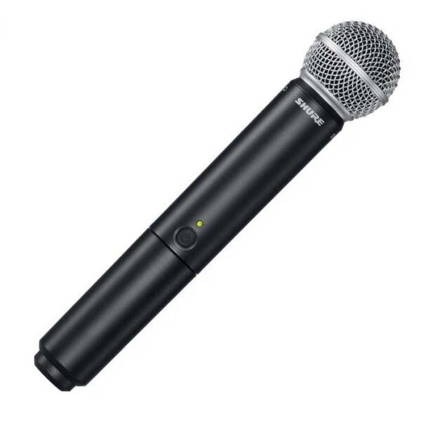BLX2 SM58 H9.jpg