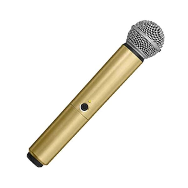 WA713 GLD.jpg