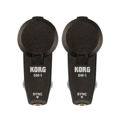 Metronomo Korg GM-1 2PCS in ear