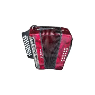 Acordeon vallenato Ayson tonalidad GCF Duosonic Bogota