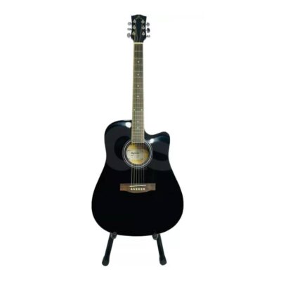 Guitarra Ayson 4110 brillante Duosonic Bogota