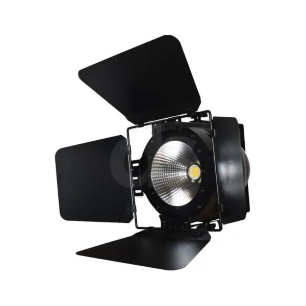 Par LED 100W NightSun SPC100P Duosonic Bogota