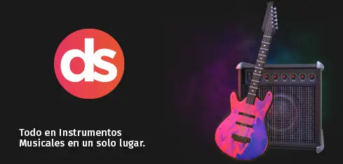 instrumentos musicales duosonic