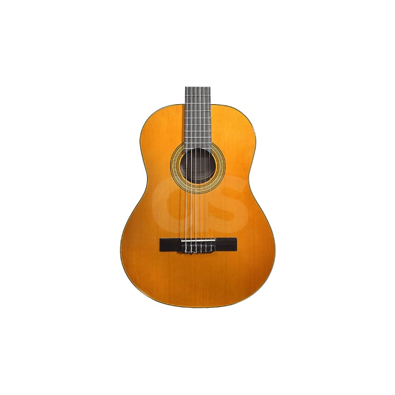 Guitarra acústica Epiphone EAPCANCH1 PRO 1 Duosonic Bogota
