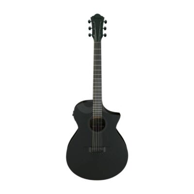 Guitarra electroacústica Ibanez AEWC621 BOT Duosonic Bogota