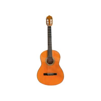 Guitarra AURORA EVOLUTION STEREO Milenium GUT 0005 Duosonic Bogota