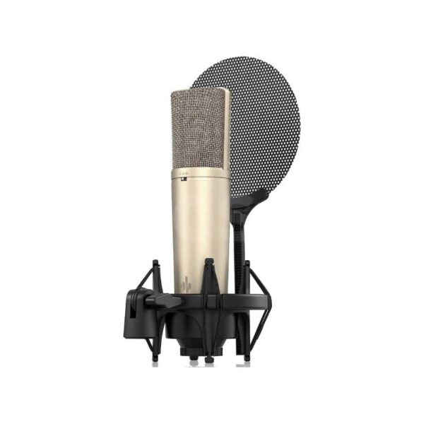 Micrófono condensador Donner EC2802 DC87 Duosonic Bogota