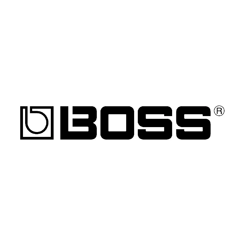 Boss DS