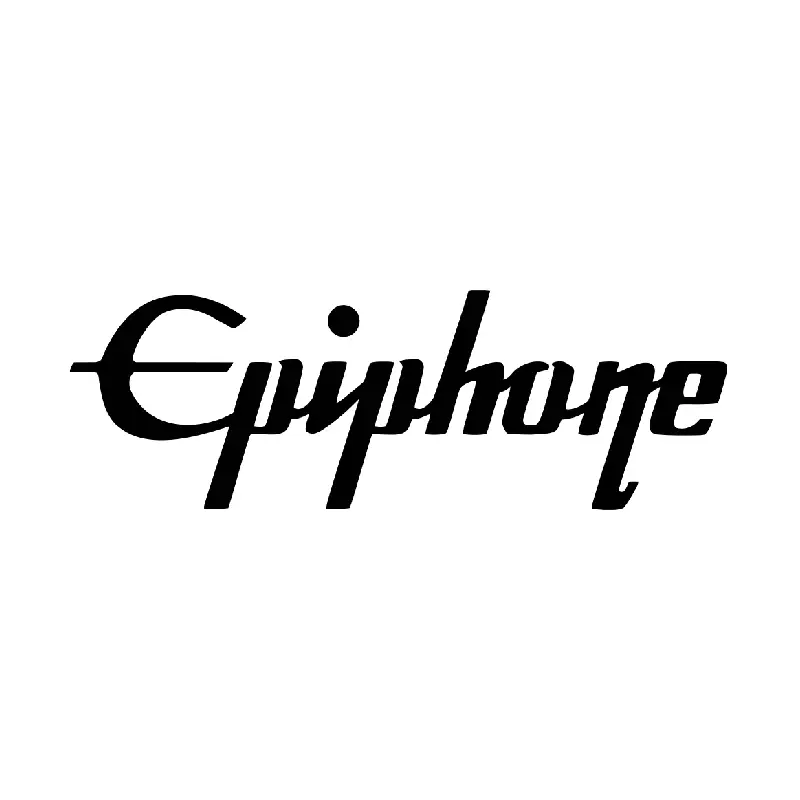 Epiphone DS