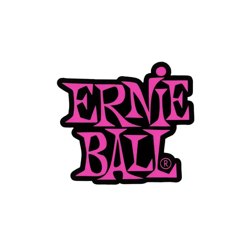 Ernie Ball DS