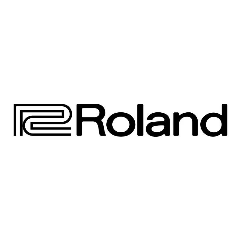 Roland DS